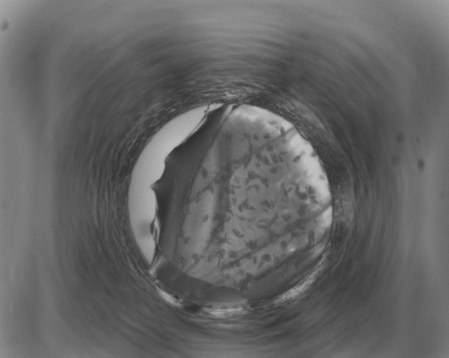 X0000086300182200704271836