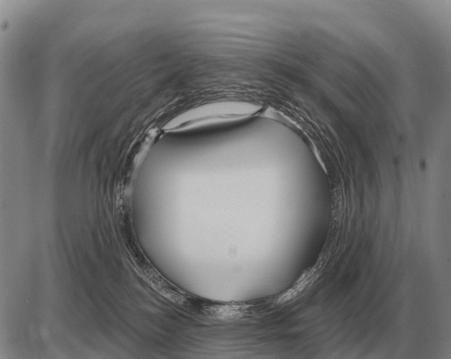 X0000086300184200704271836