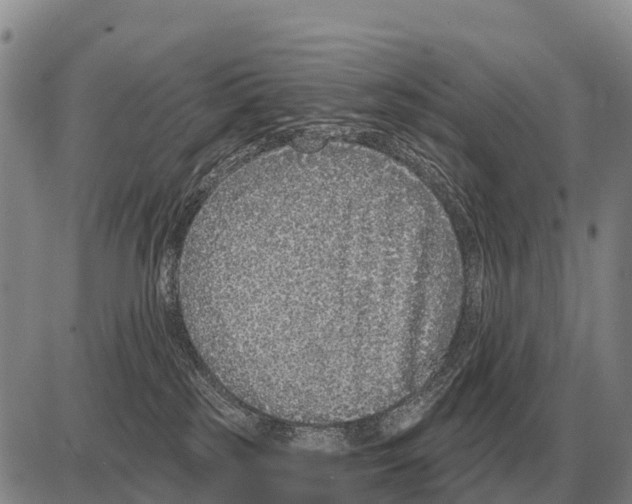 X0000086300185200704271836