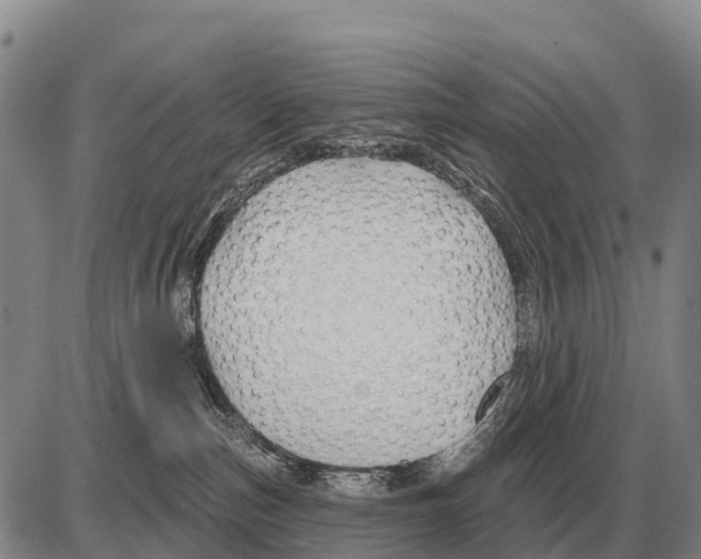 X0000086300187200704271836