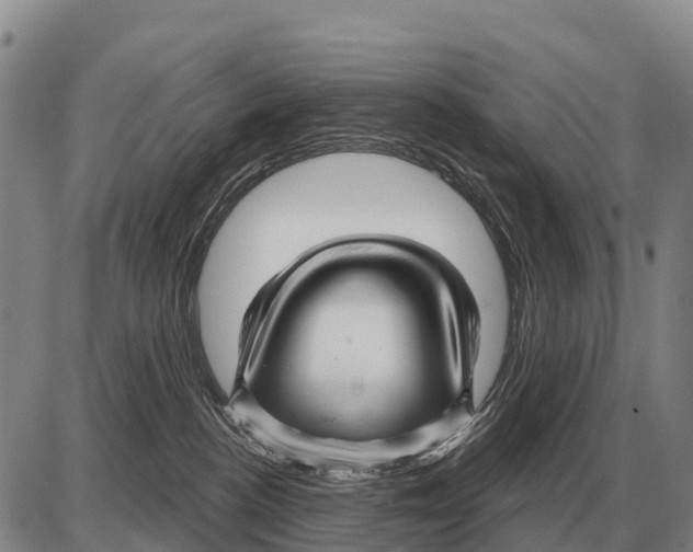 X0000086300188200704271836