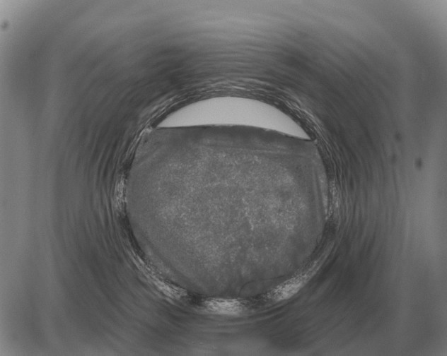 X0000086300189200704271836