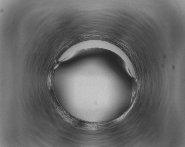 X0000086300190200704271836