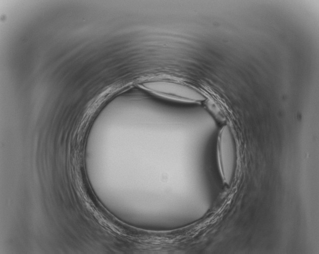 X0000086300193200704271835