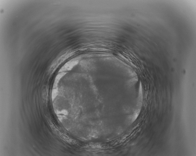 X0000086300194200704271835