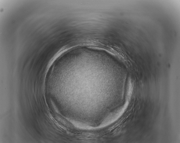 X0000086300195200704271835