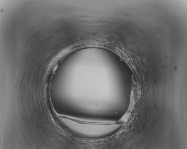 X0000086300197200704271835