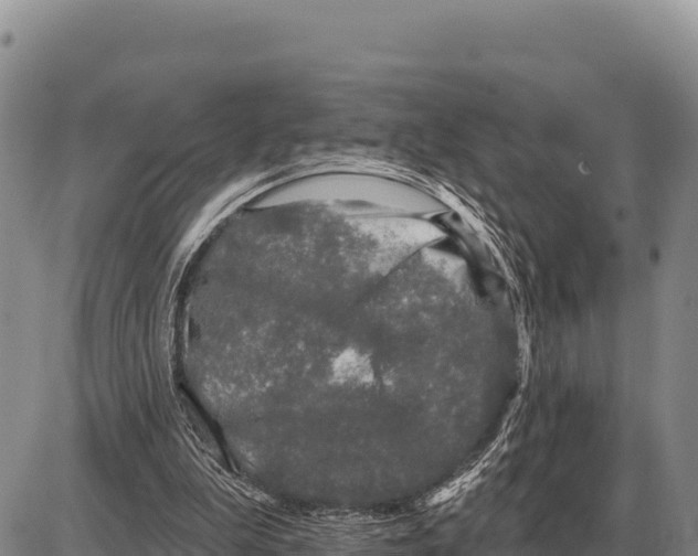 X0000086300199200704271835