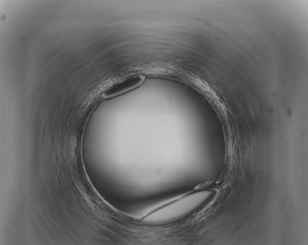 X0000086300201200704271835