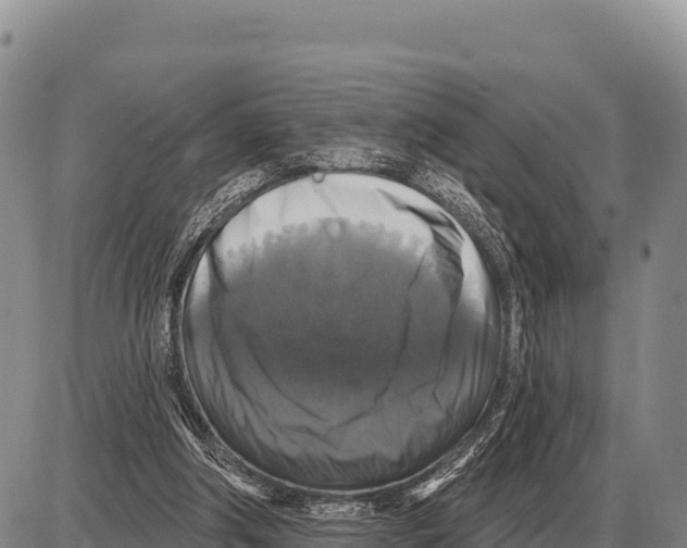 X0000086300202200704271835