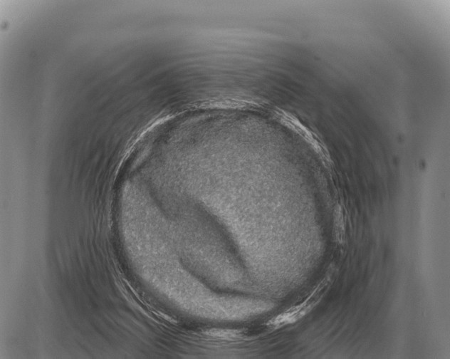 X0000086300203200704271835