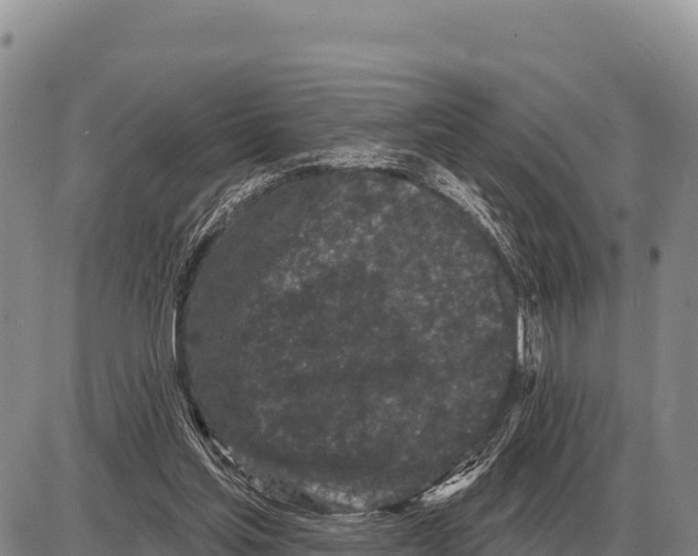 X0000086300205200704271835