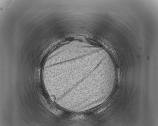 X0000086300206200704271835