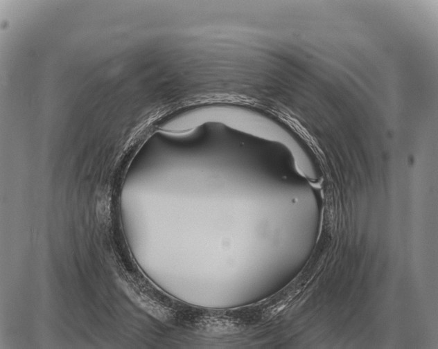 X0000086300207200704271835