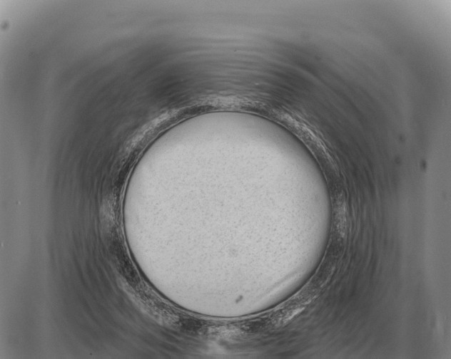 X0000086300208200704271835