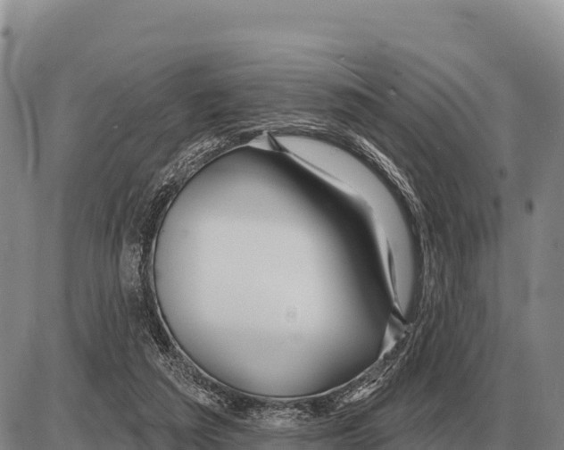 X0000086300209200704271835