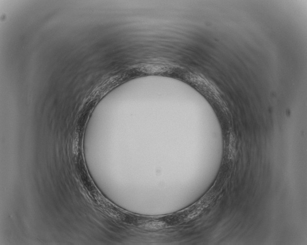 X0000086300210200704271835