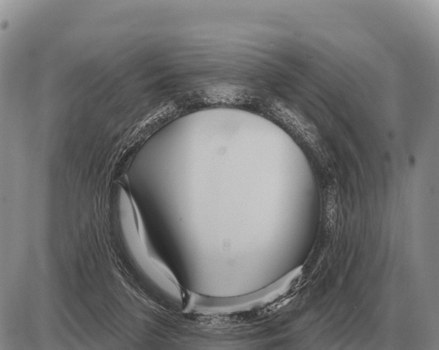 X0000086300211200704271835