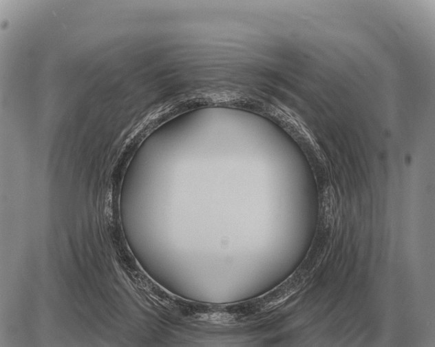 X0000086300212200704271835