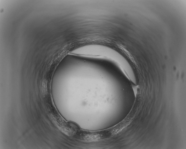 X0000086300213200704271835