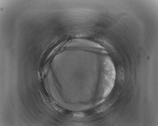 X0000086300214200704271835