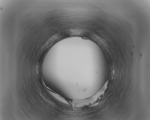 X0000086300215200704271835