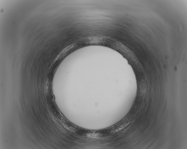 X0000086300216200704271835