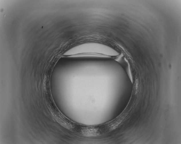 X0000086300217200704271835