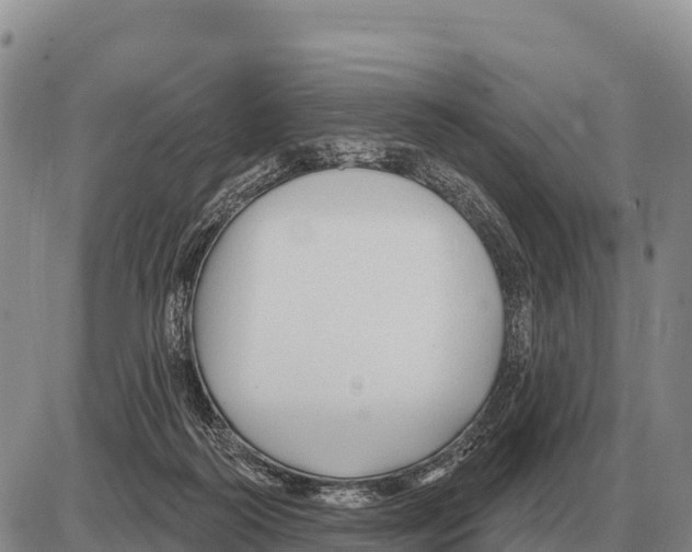 X0000086300218200704271835