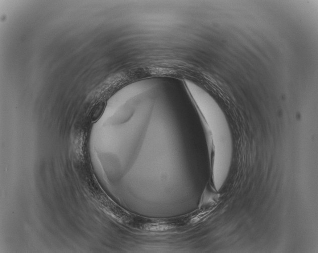 X0000086300219200704271835