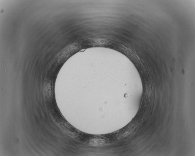 X0000086300220200704271835