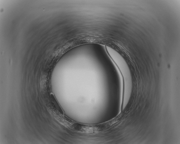 X0000086300221200704271835