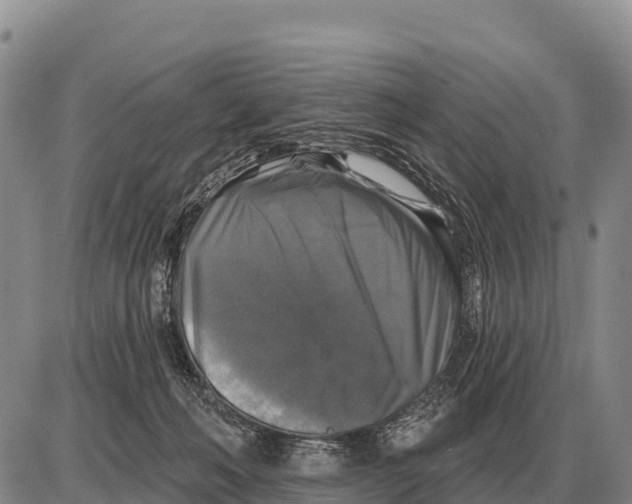 X0000086300222200704271835