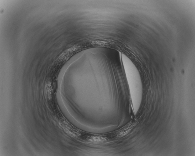 X0000086300223200704271835