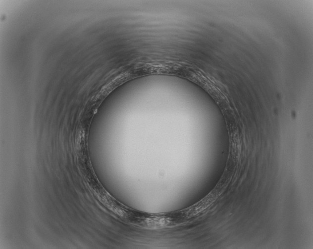 X0000086300225200704271835