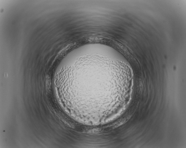 X0000086300228200704271835