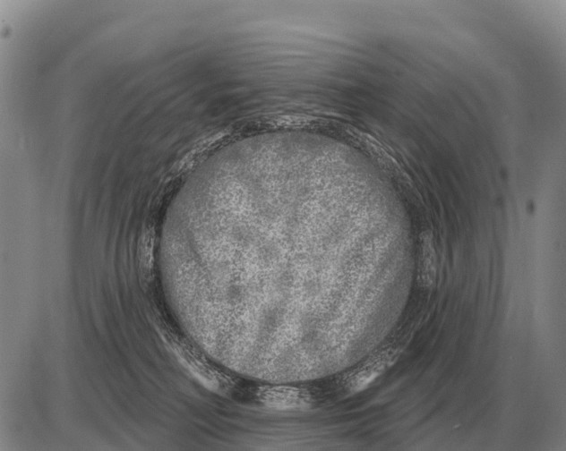 X0000086300230200704271835