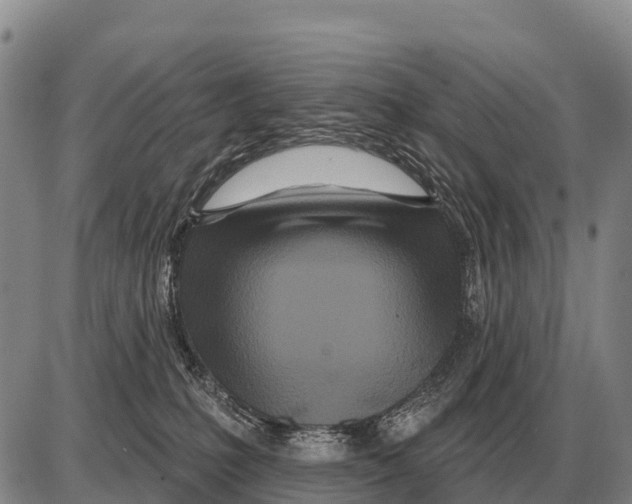 X0000086300231200704271835