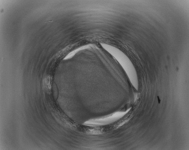 X0000086300232200704271835