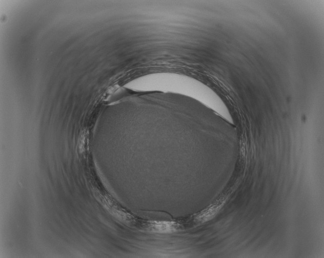 X0000086300233200704271835