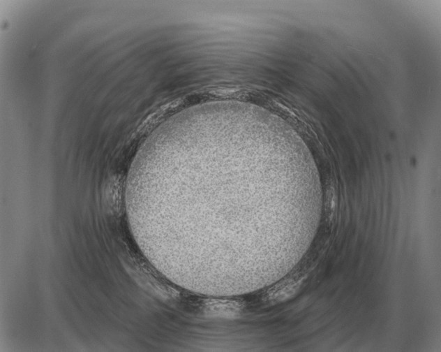 X0000086300234200704271835