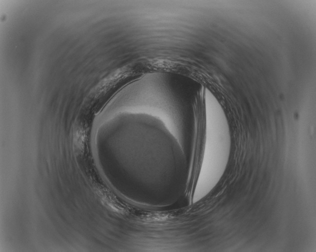 X0000086300235200704271835