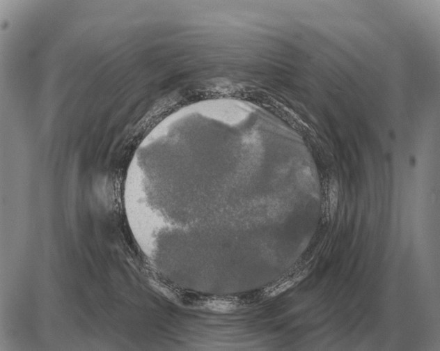 X0000086300236200704271835