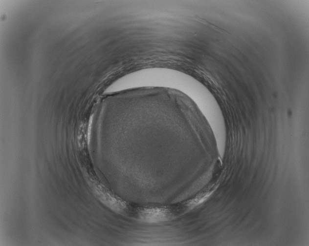 X0000086300237200704271835