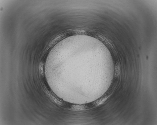 X0000086300238200704271835