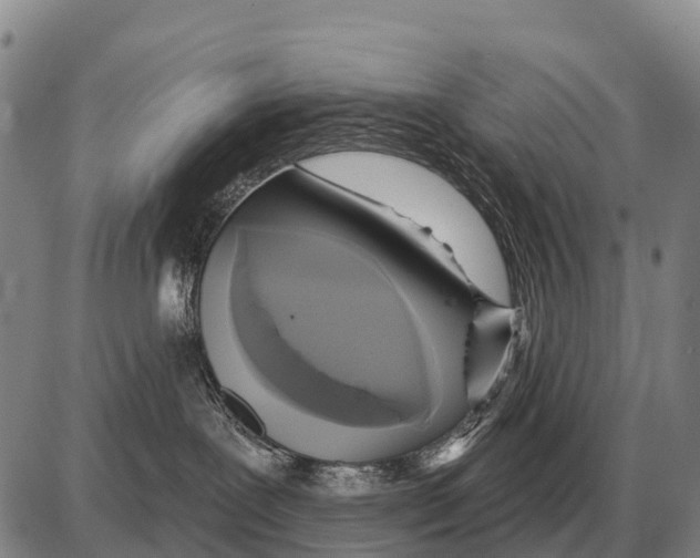 X0000086300239200704271835