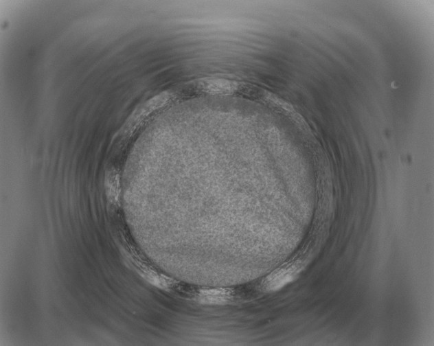 X0000086300240200704271835