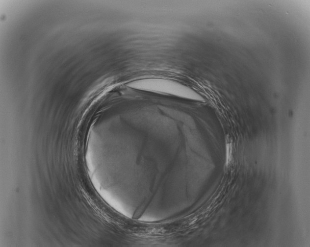 X0000086300243200704271834