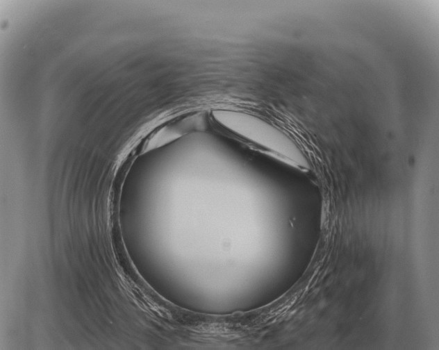 X0000086300244200704271834