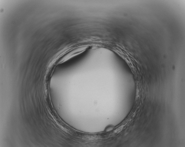 X0000086300245200704271834